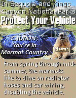Mountains, rugged foothills, deep canyons, vast caverns, and the world's largest trees exemplify the diversity of landscapes, life, and beauty of these two California National Parks, but remember you are in marmot country and they love to chew on your automobile. Physically block marmots by driving over a tarp and then wrapping it around your entire vehicle. Cover the wheel wells. Wrapping chicken wire around the vehicle is no longer advised, as marmots have learned to get around the wire. 